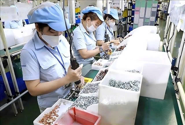 hcm city ramps up efforts to attract large foreign investments picture 1 hcm city ramps up efforts to attract large foreign investments picture 1