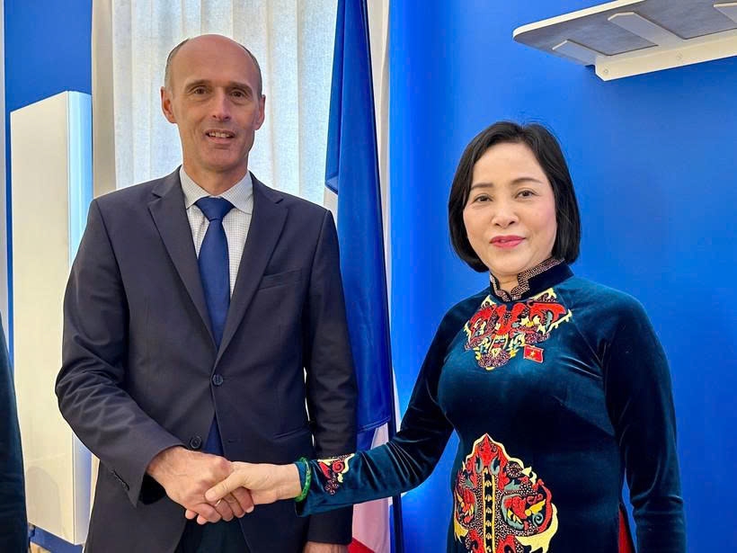 na vice chairwoman visits ho chi minh space, thang long and co loa exhibition in france picture 1