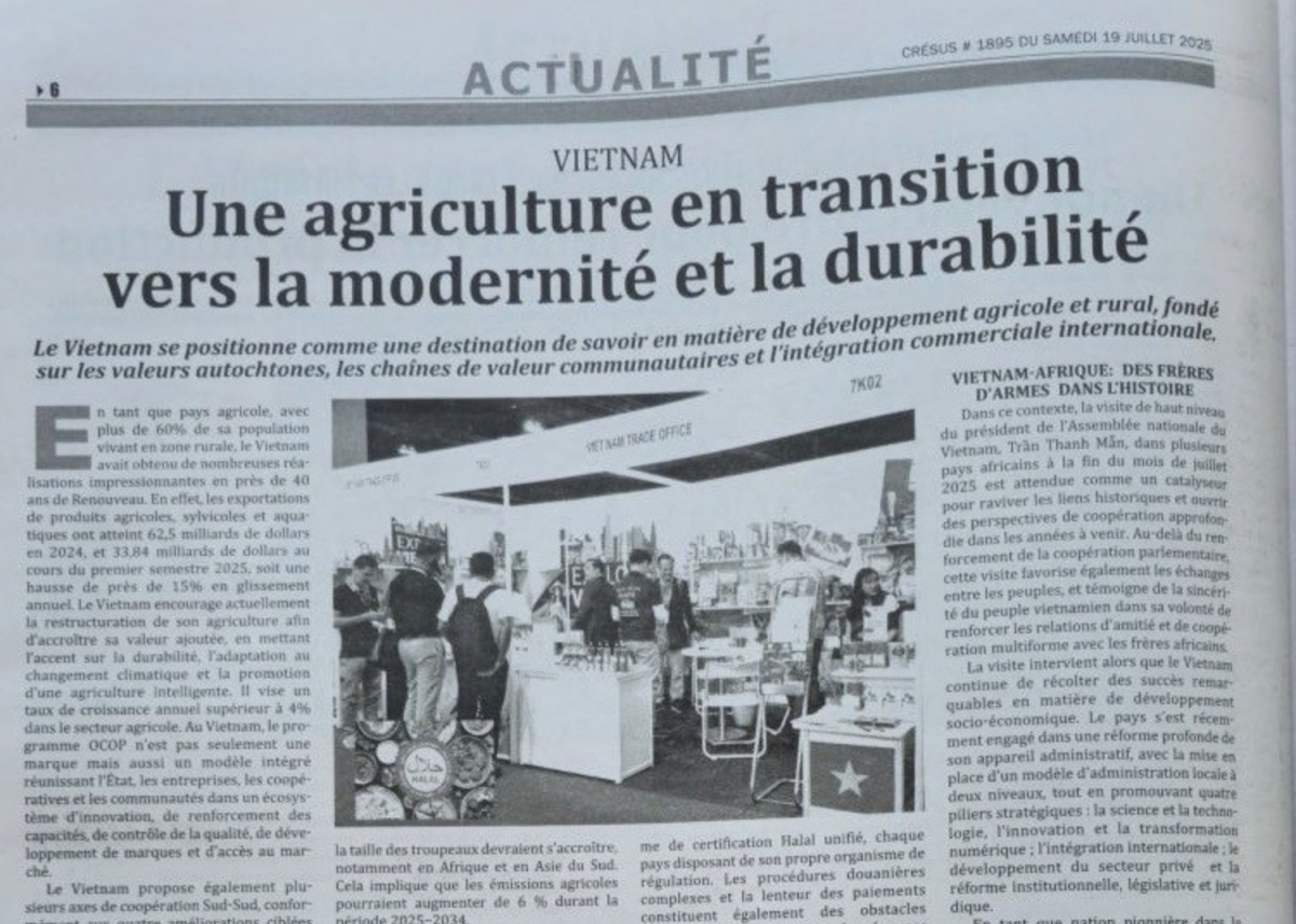 vietnam a dynamic development partner for africa picture 1 vietnam a dynamic development partner for africa picture 1