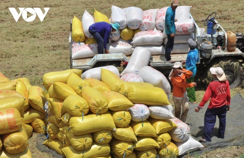 rice industry sets sights on us 5.7 billion export target amid price pressure picture 1