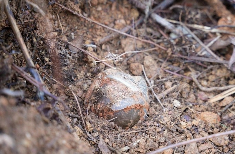 three cluster bombs safely detonated in quang tri picture 1 three cluster bombs safely detonated in quang tri picture 1