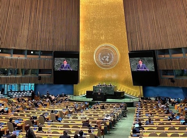 Vietnam committed to contributing to two-state solution implementation