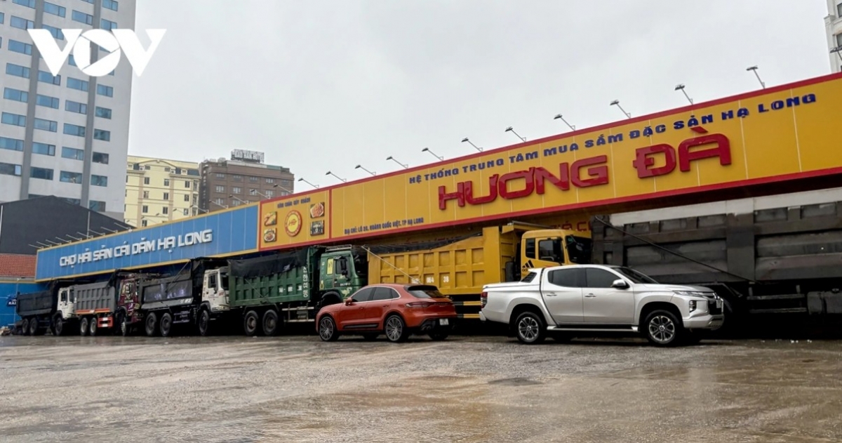 Dựng container, đỗ xe tải, xếp gạch để phòng bão số 3 ở Quảng Ninh