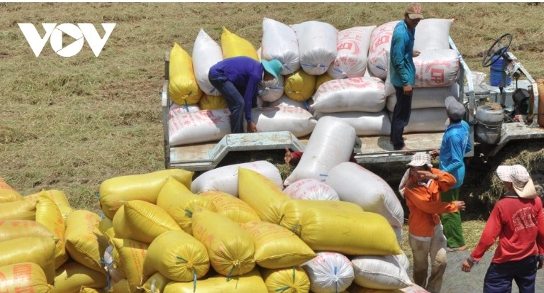 Rice industry sets sights on US$5.7 billion export target amid price pressure