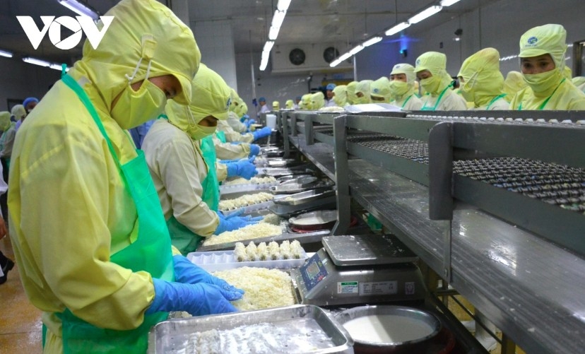 shrimp exports to us surge despite tariff concerns picture 1