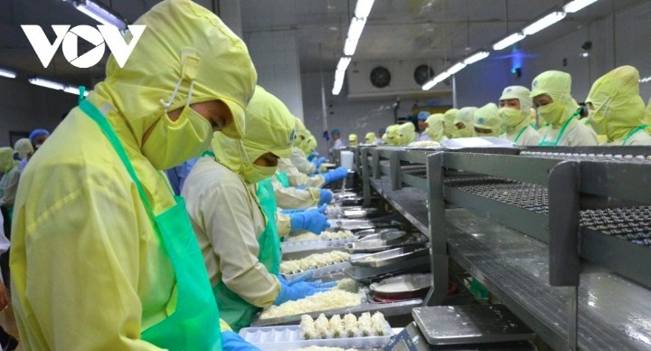 Shrimp exports to US surge despite tariff concerns