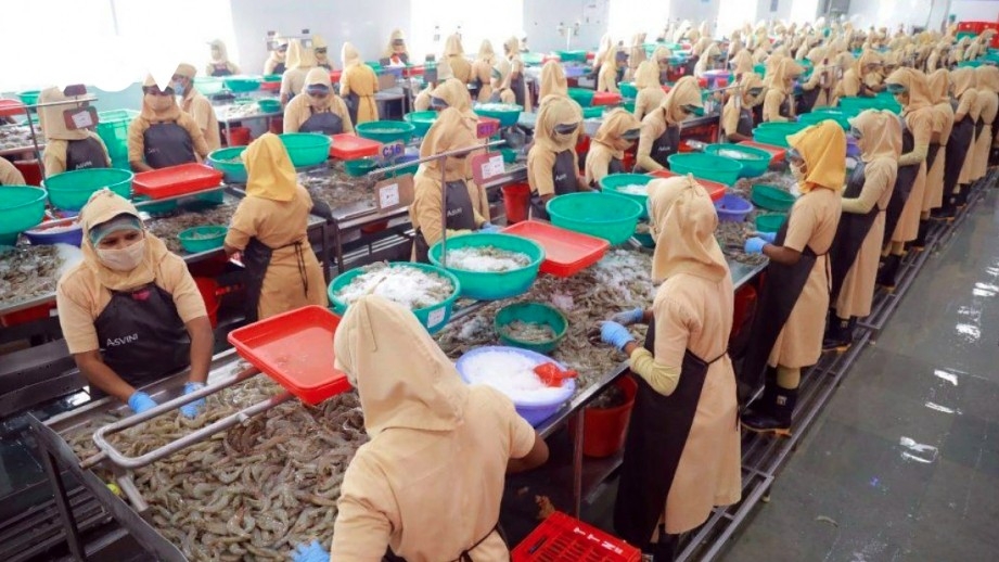 vietnam-efta trade deal poised to boost trade, but challenges loom for businesses picture 1 vietnam-efta trade deal poised to boost trade, but challenges loom for businesses picture 1