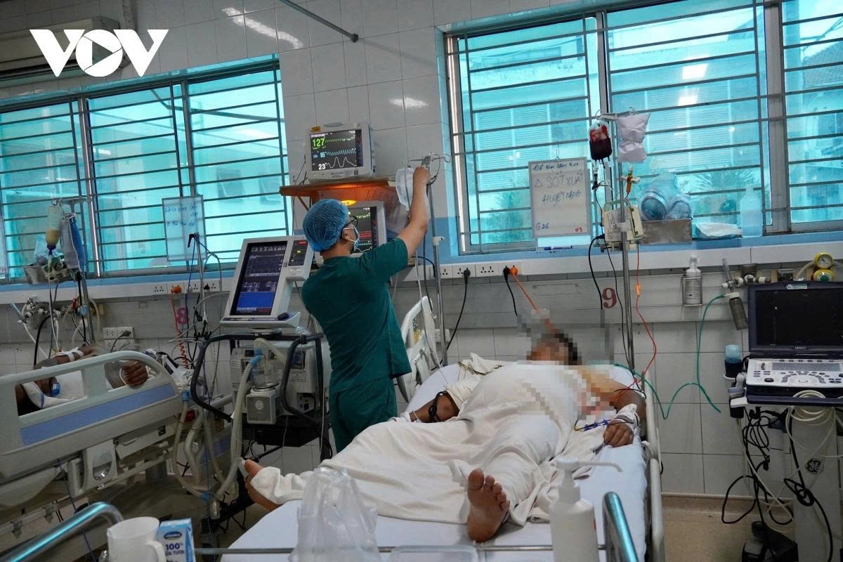 hcm city steps up dengue prevention amid surge in cases and deaths picture 1 hcm city steps up dengue prevention amid surge in cases and deaths picture 1