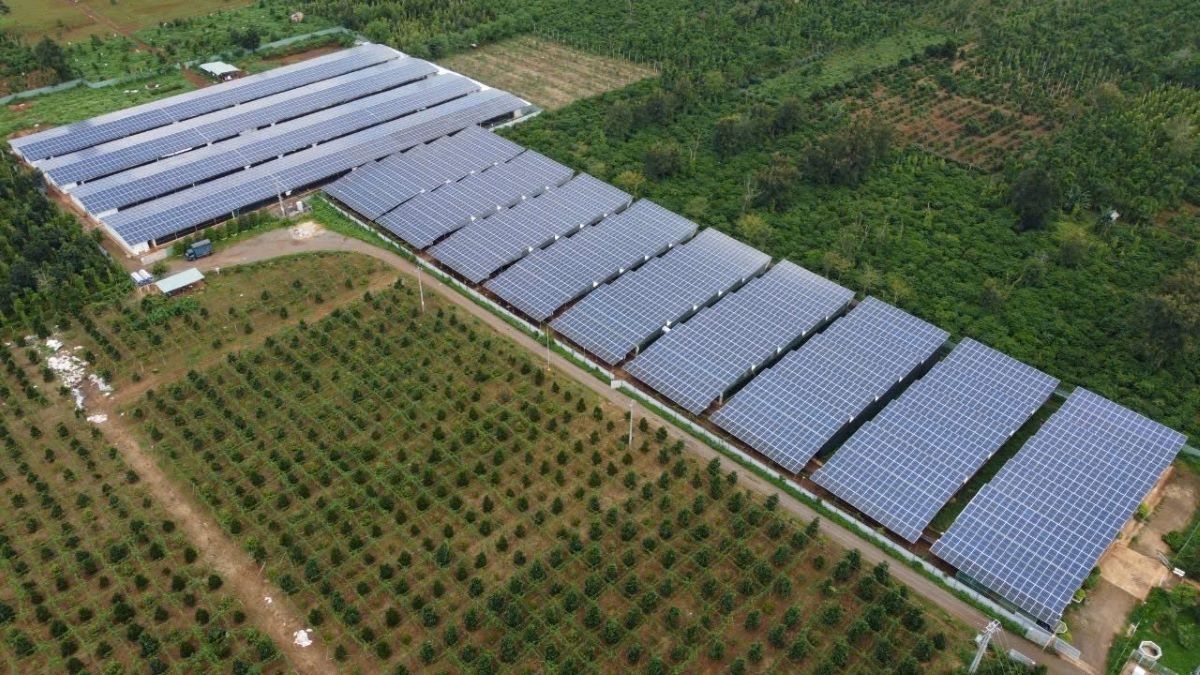 liên kết nuôi gà với japfa, chủ trang trại ở Đắk lắk kiếm tiền tỷ hình ảnh 1 lien ket nuoi ga voi japfa, chu trang trai o Dak lak kiem tien ty hinh anh 1