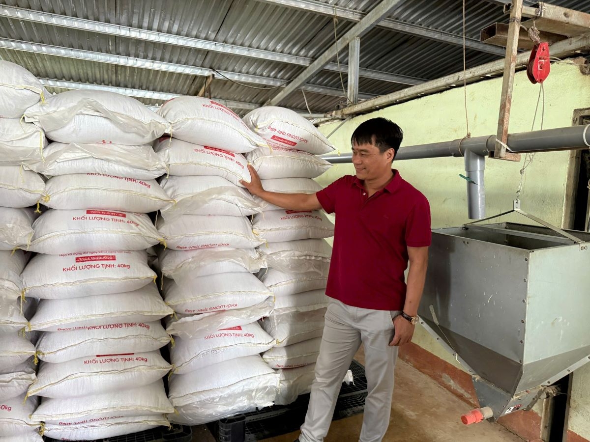 liên kết nuôi gà với japfa, chủ trang trại ở Đắk lắk kiếm tiền tỷ hình ảnh 3 lien ket nuoi ga voi japfa, chu trang trai o Dak lak kiem tien ty hinh anh 3