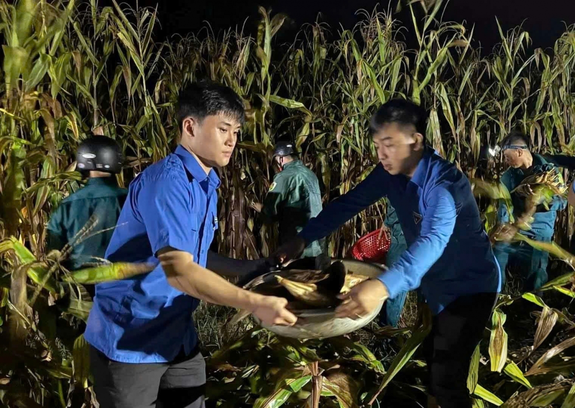 1.300 thanh nien tinh nguyen nghe an giup dan khac phuc hau qua do mua lu hinh anh 4
