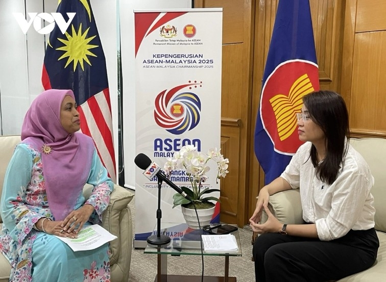 vietnam marks 30 years in asean with growing international recognition picture 2 vietnam marks 30 years in asean with growing international recognition picture 2