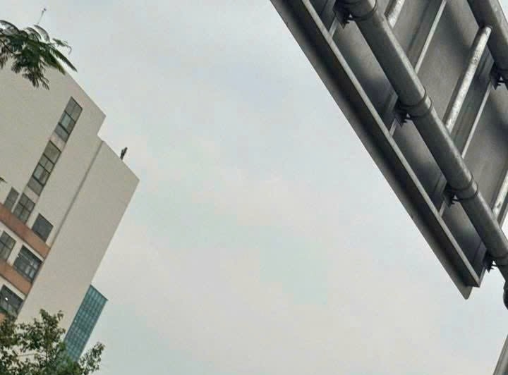 Nỗ lực giải cứu người phụ nữ trèo lên nóc Bệnh viện Bạch Mai
