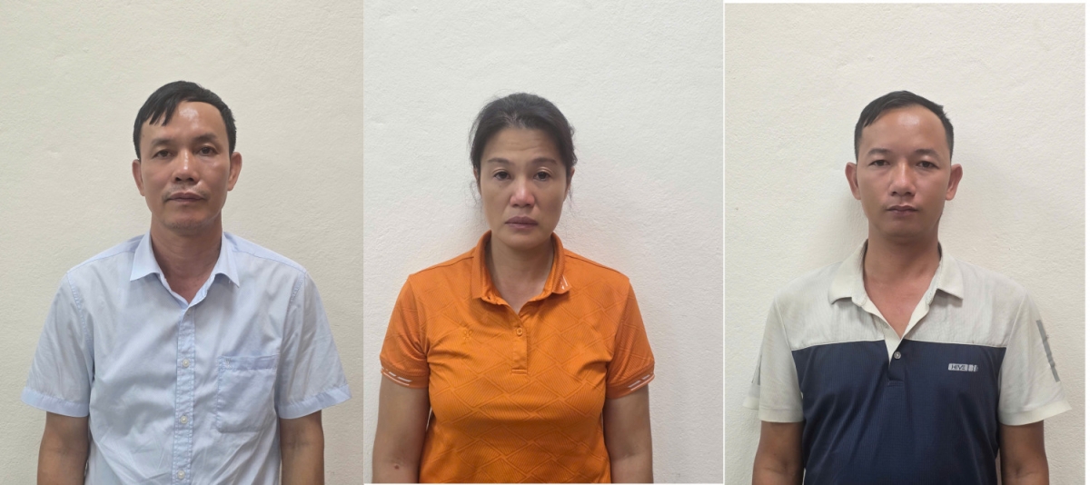 Khởi tố giám đốc công ty lâm nghiệp vi phạm khai thác rừng ở Quảng Ninh