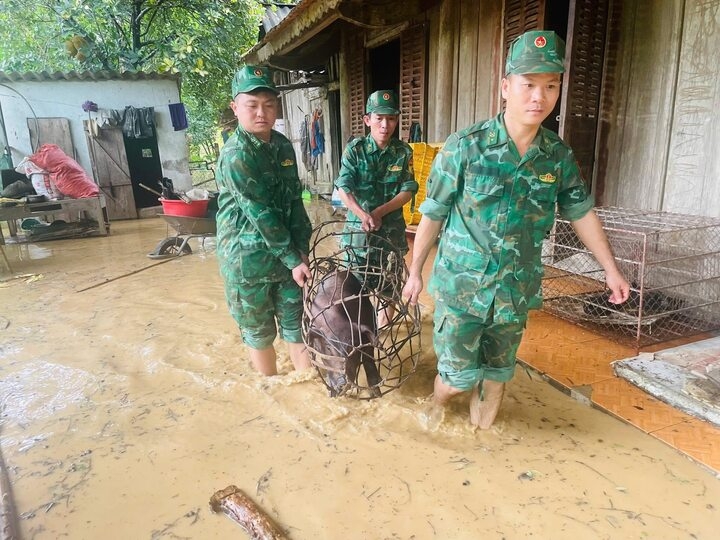 chan dat bang rung, bo doi cung dan dung lai ban lang sau lu hinh anh 2