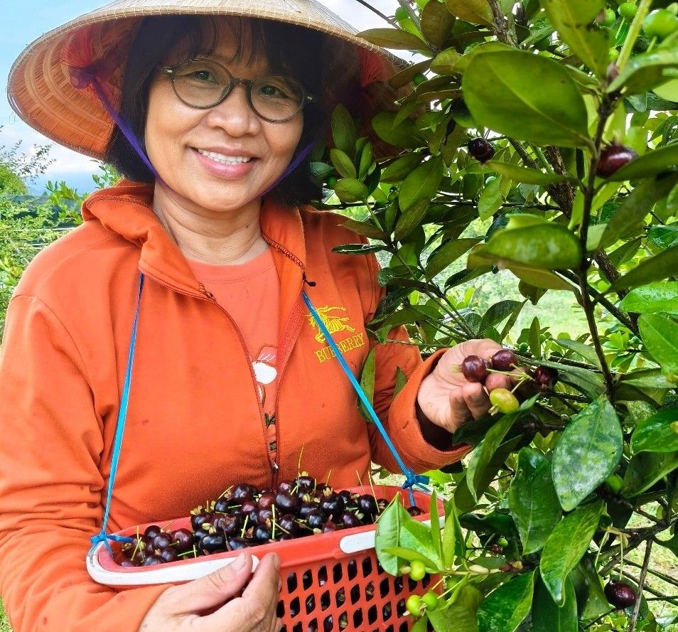 du lịch kết hợp trang trại tại vùng cao khánh hòa hình ảnh 1 du lich ket hop trang trai tai vung cao khanh hoa hinh anh 1