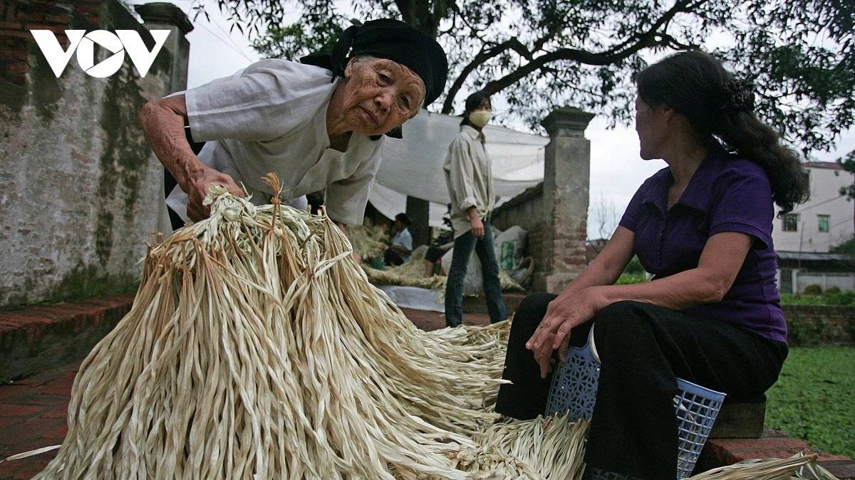 a glimpse into the unique conical hat market of chuong village picture 3 a glimpse into the unique conical hat market of chuong village picture 3