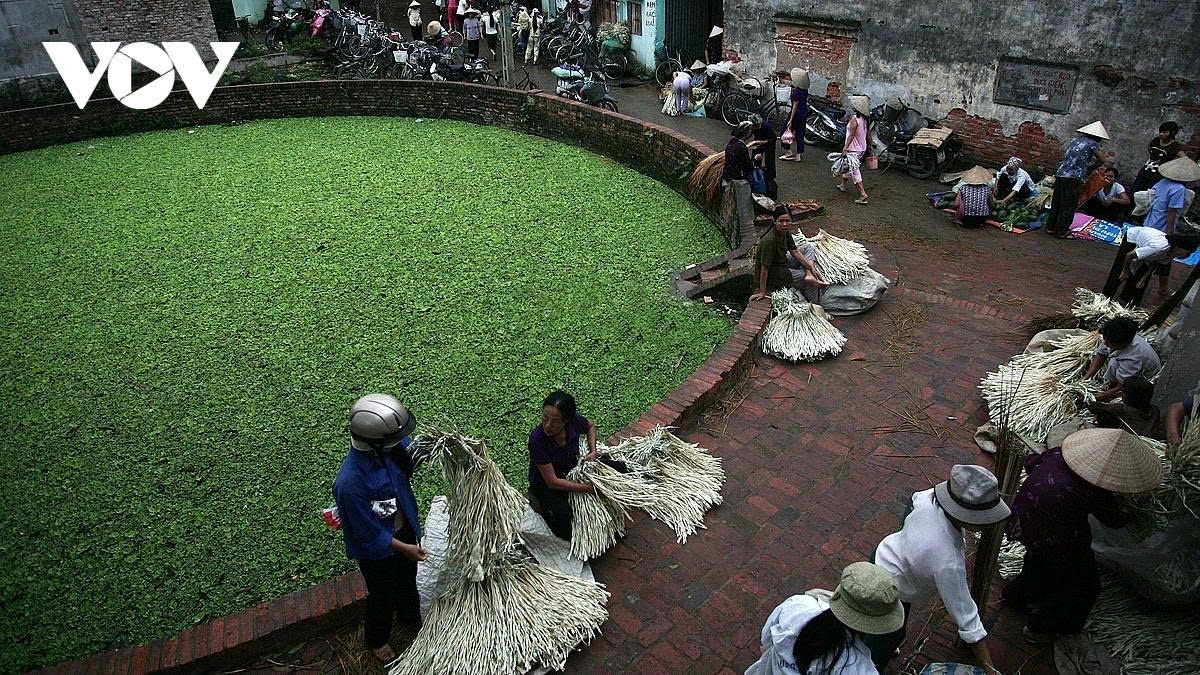 a glimpse into the unique conical hat market of chuong village picture 5 a glimpse into the unique conical hat market of chuong village picture 5