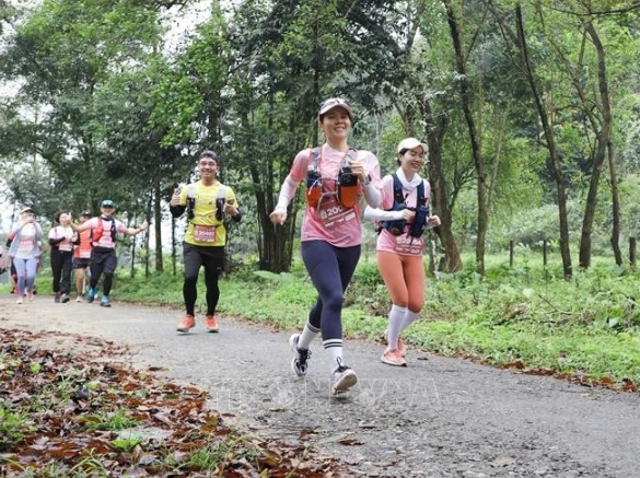 ninh binh province taps marathons to boost tourism appeal picture 1