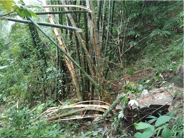 sat lo da tai xa mien nui thanh hoa hinh anh 2