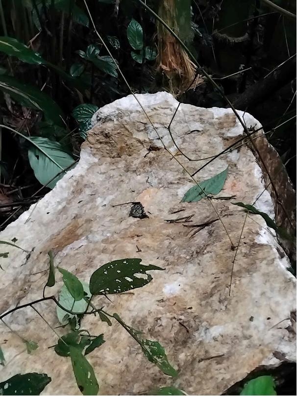 sat lo da tai xa mien nui thanh hoa hinh anh 3