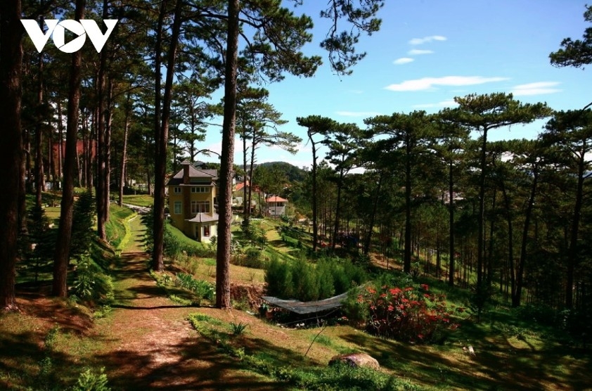da lat named among asia s most affordable summer getaways picture 1