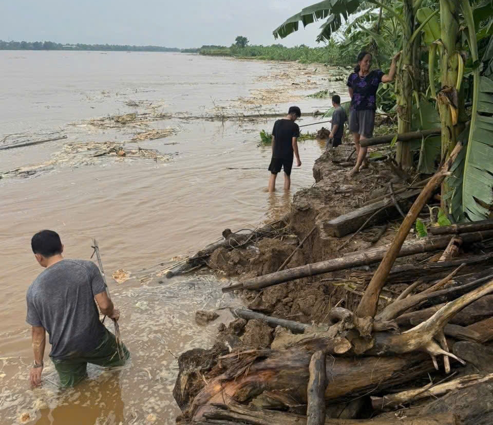 phu tho sat lo nghiem trong sat dinh ke bo song hong, doan qua xa lam thao hinh anh 5