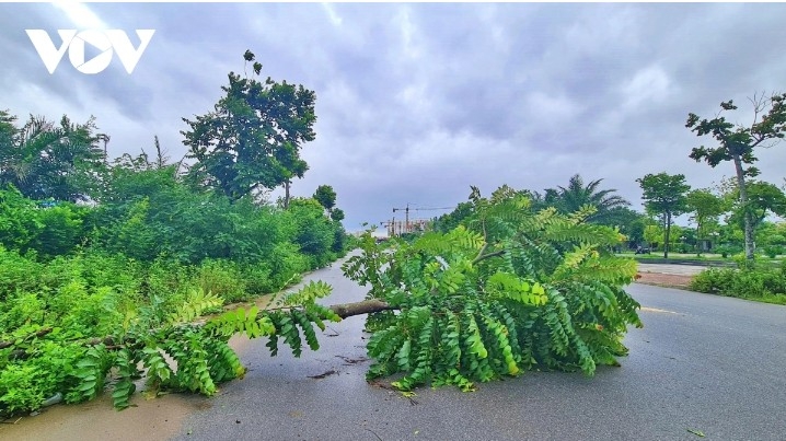typhoon wipha nears northern coast between hai phong and ninh binh picture 6 typhoon wipha nears northern coast between hai phong and ninh binh picture 6