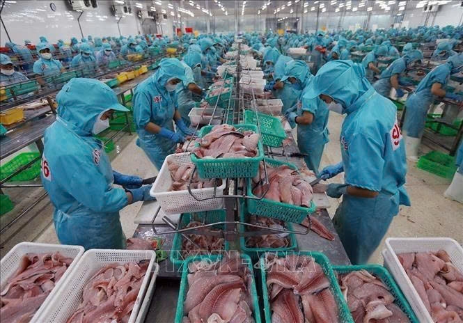 fisheries sector speeds up to earn us 5.4 billion in h2 picture 1