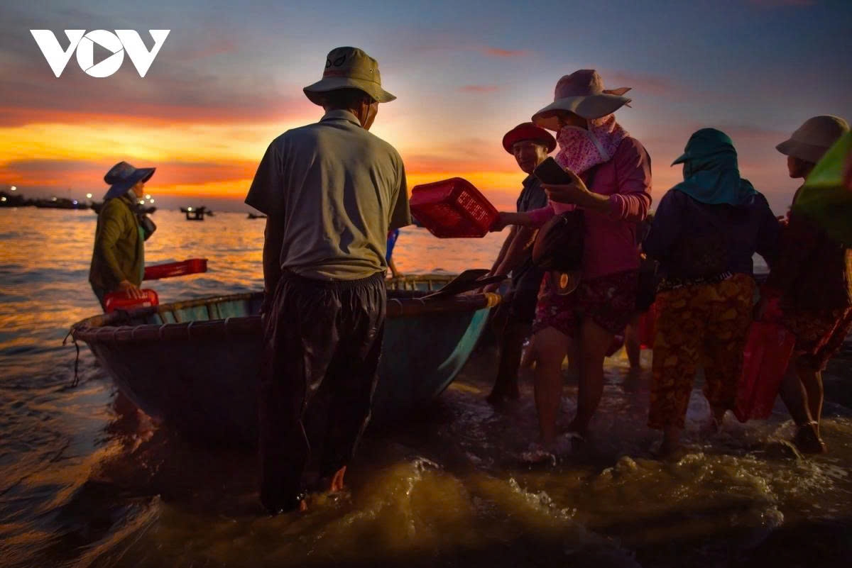 exploring tam tien fish market at dawn in da nang picture 11