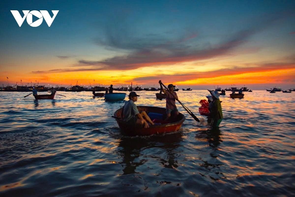 exploring tam tien fish market at dawn in da nang picture 2 exploring tam tien fish market at dawn in da nang picture 2