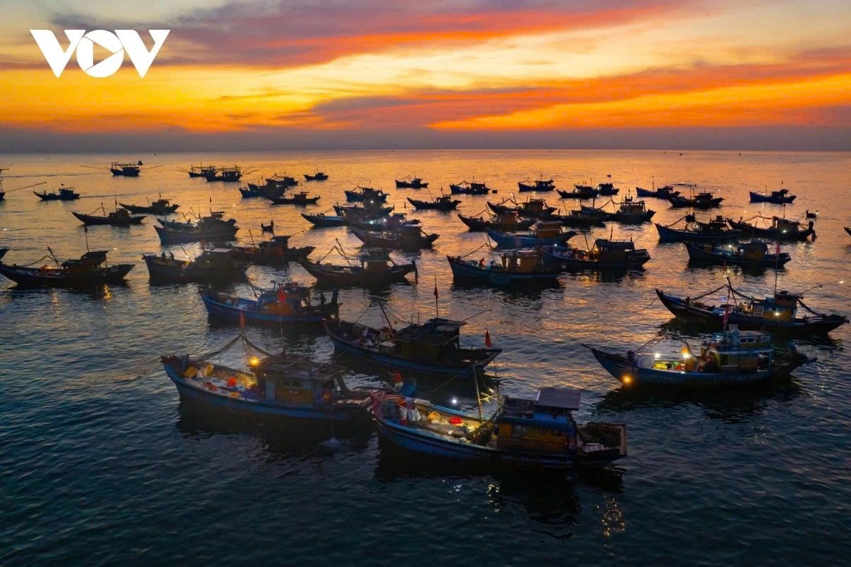 exploring tam tien fish market at dawn in da nang picture 4 exploring tam tien fish market at dawn in da nang picture 4