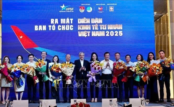 vietnam private sector forum 2025 to run from july-september picture 1