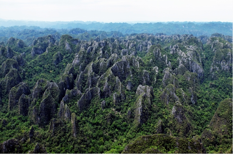 ទេសភាព Karst ភាគអាគ្នេយ៍នៃភូមិ Vangmaneur ក្នុងឧទ្យានជាតិ Hin Nam No ប្រទេសឡាវ Cảnh quan Karst, phía đông nam làng Vangmaneur thuộc Vườn Quốc gia Hin Nam Nô, CHDCND Lào