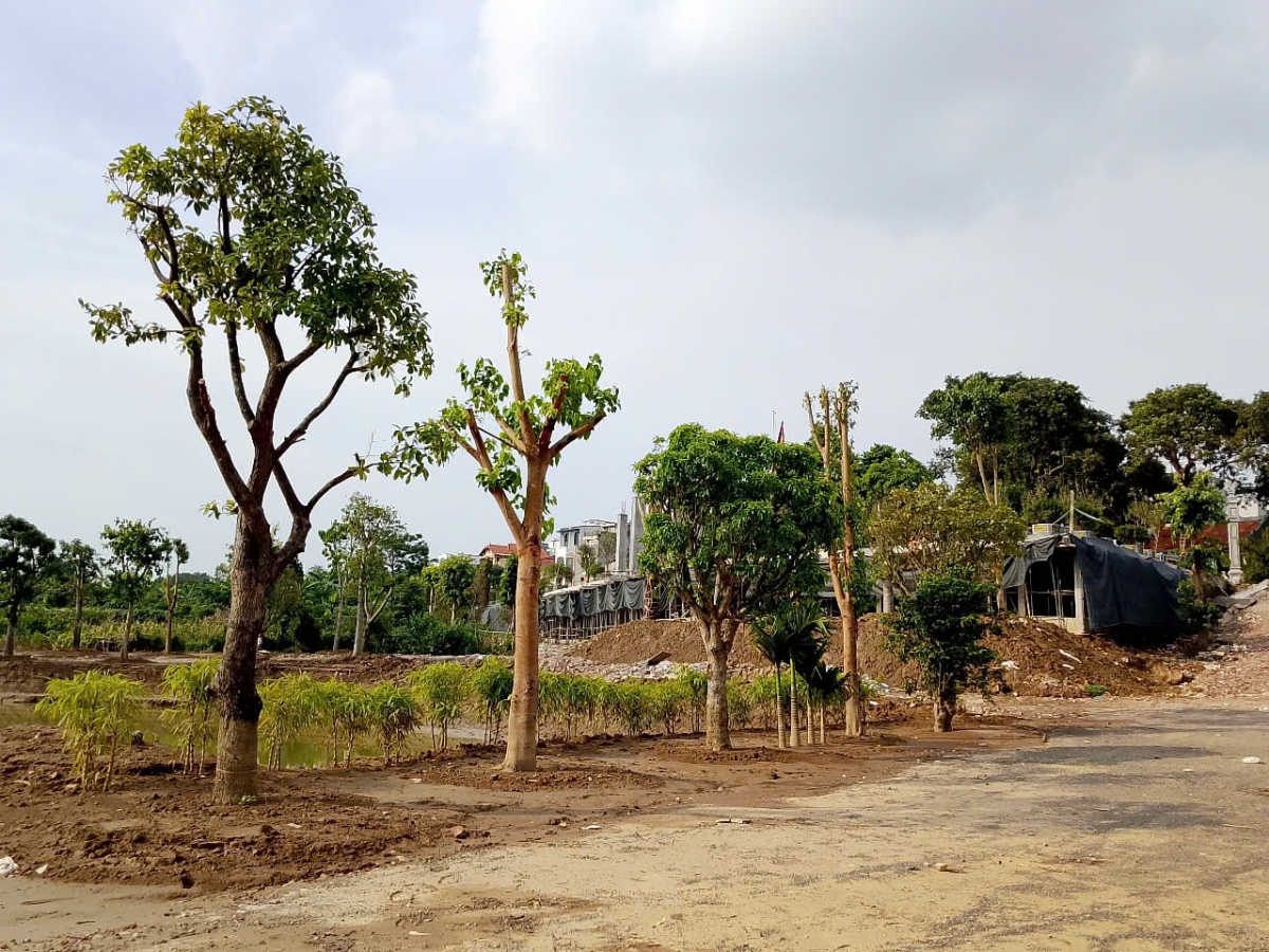 hà nội công trình vi phạm hành lang thoát lũ sông hồng vì sao chưa được xử lý hình ảnh 1 ha noi cong trinh vi pham hanh lang thoat lu song hong vi sao chua duoc xu ly hinh anh 1