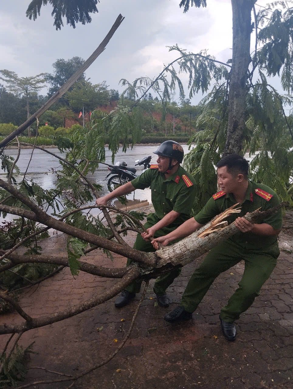 giông lốc, mưa đá gây nhiều thiệt hại tại cao bằng hình ảnh 3 giong loc, mua da gay nhieu thiet hai tai cao bang hinh anh 3