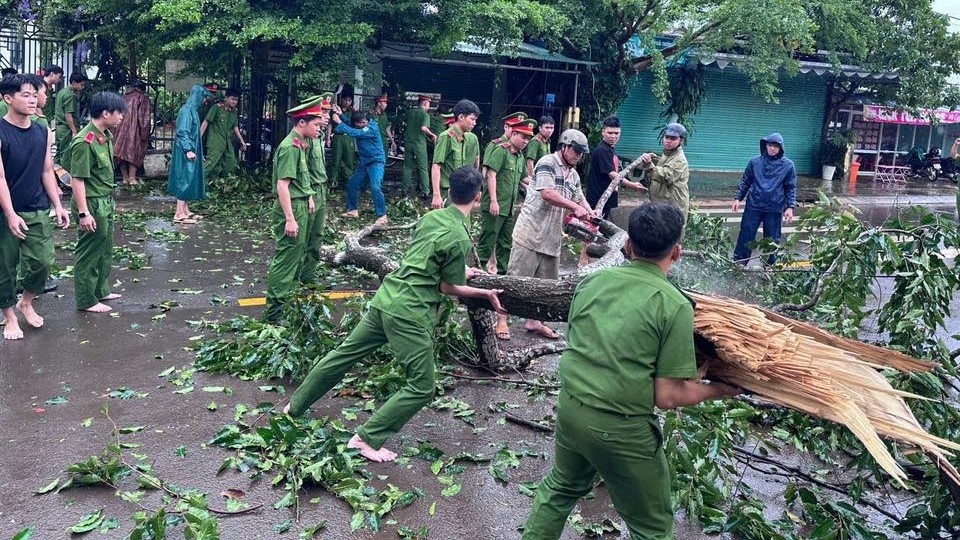 cay xanh nga do, nha toc mai do mua gio tai Dong nai hinh anh 2