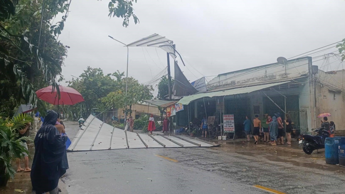 cay xanh nga do, nha toc mai do mua gio tai Dong nai hinh anh 1