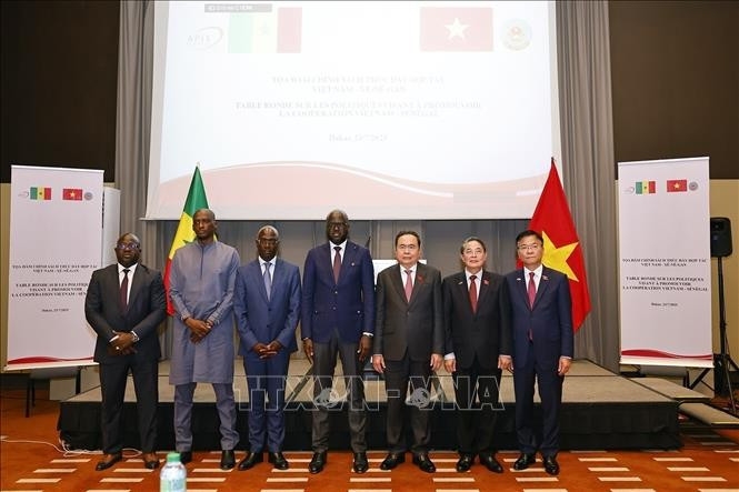 vietnam, senegal strengthen economic ties at policy dialogue picture 1