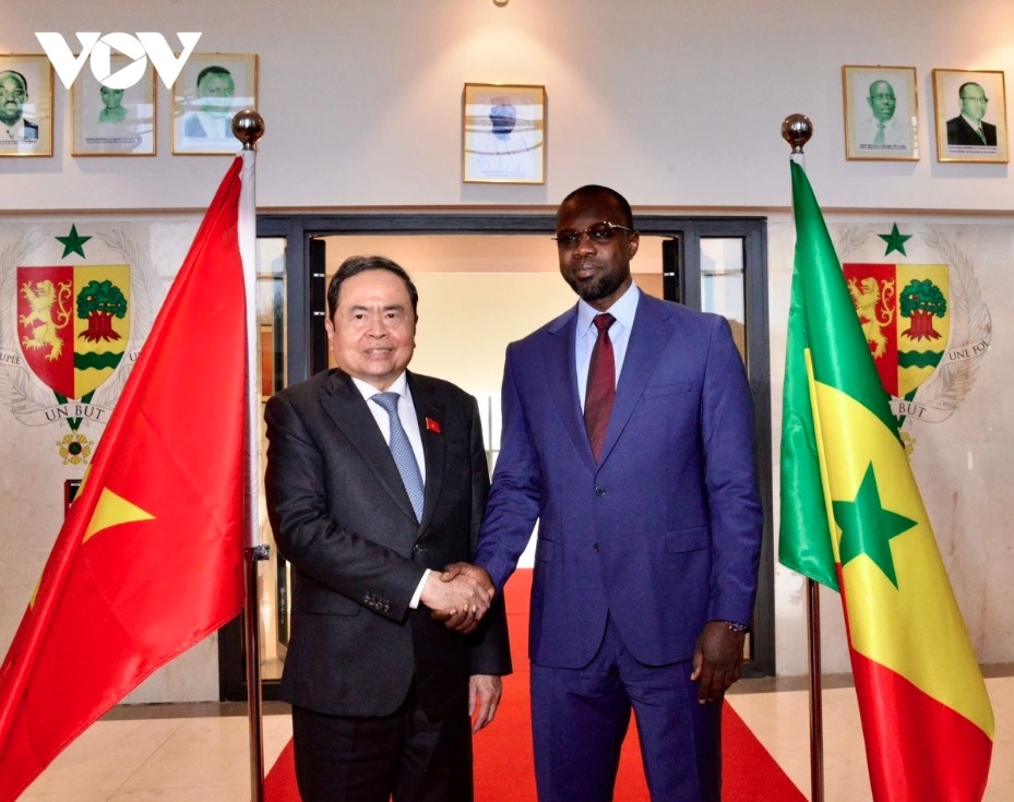 vietnam, senegal strengthen south-south ties, push for agricultural partnership picture 2