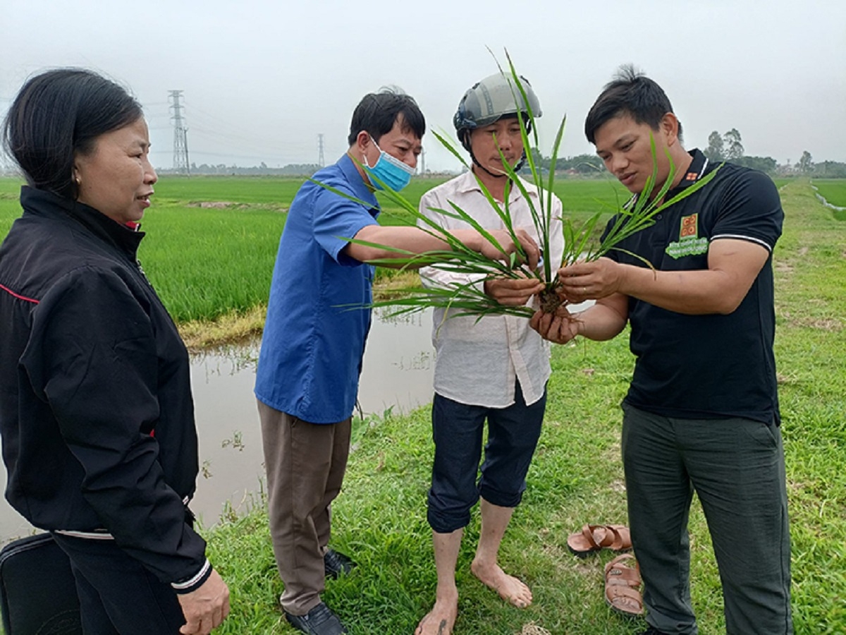 chuyển đổi số nông nghiệp vì sao nông dân vẫn loay hoay hình ảnh 3 chuyen doi so nong nghiep vi sao nong dan van loay hoay hinh anh 3