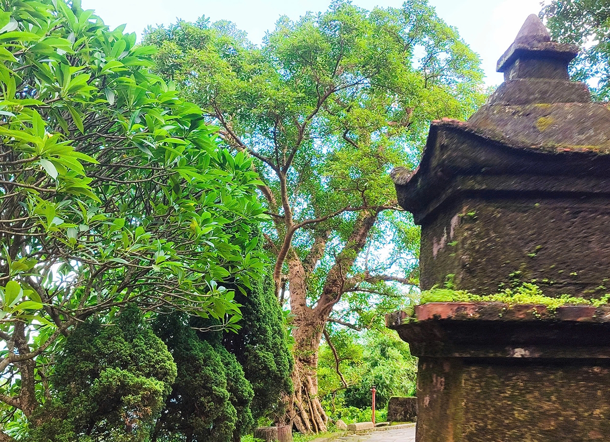 hành trình yên tử, vĩnh nghiêm, côn sơn, kiếp bạc trở thành di sản của nhân loại hình ảnh 5 hanh trinh yen tu, vinh nghiem, con son, kiep bac tro thanh di san cua nhan loai hinh anh 5