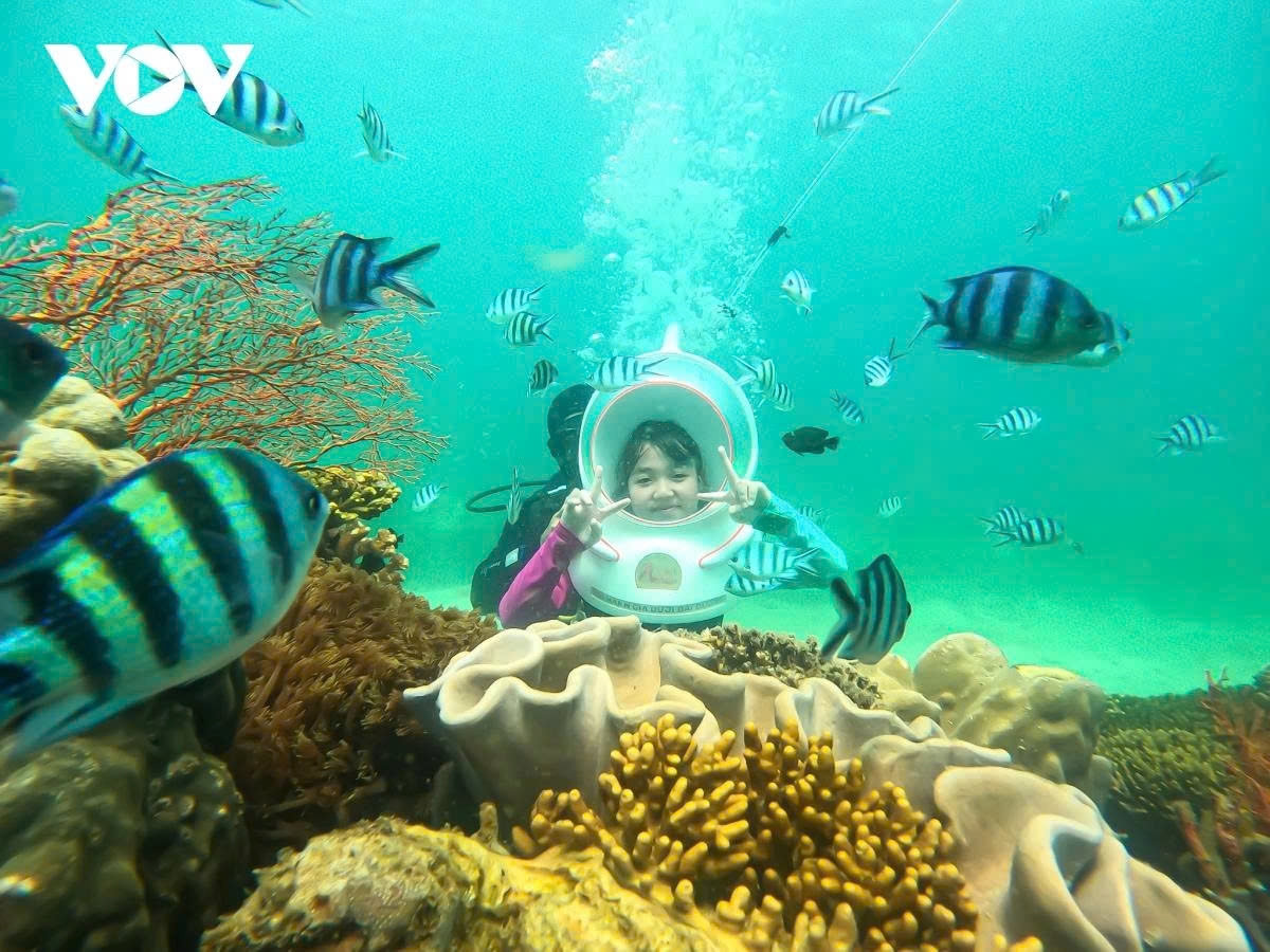 top vietnamese destinations draw international tourists in first half picture 1 top vietnamese destinations draw international tourists in first half picture 1