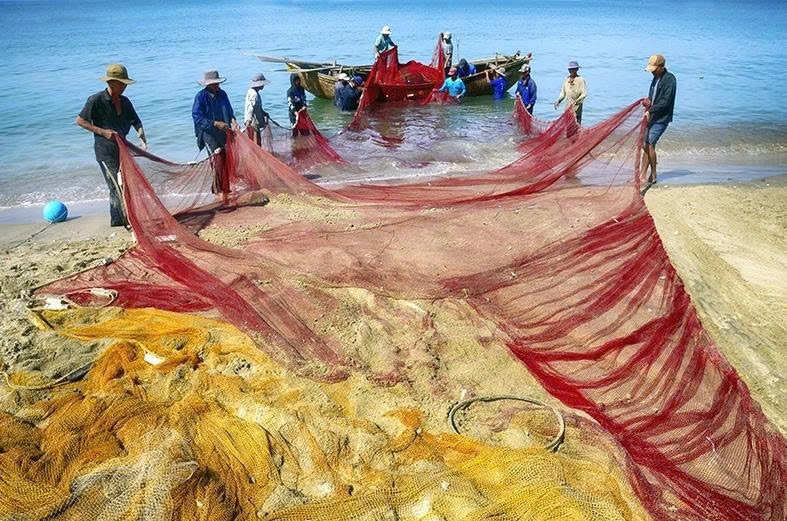 winners of vietnam photo contest announced picture 1 winners of vietnam photo contest announced picture 1