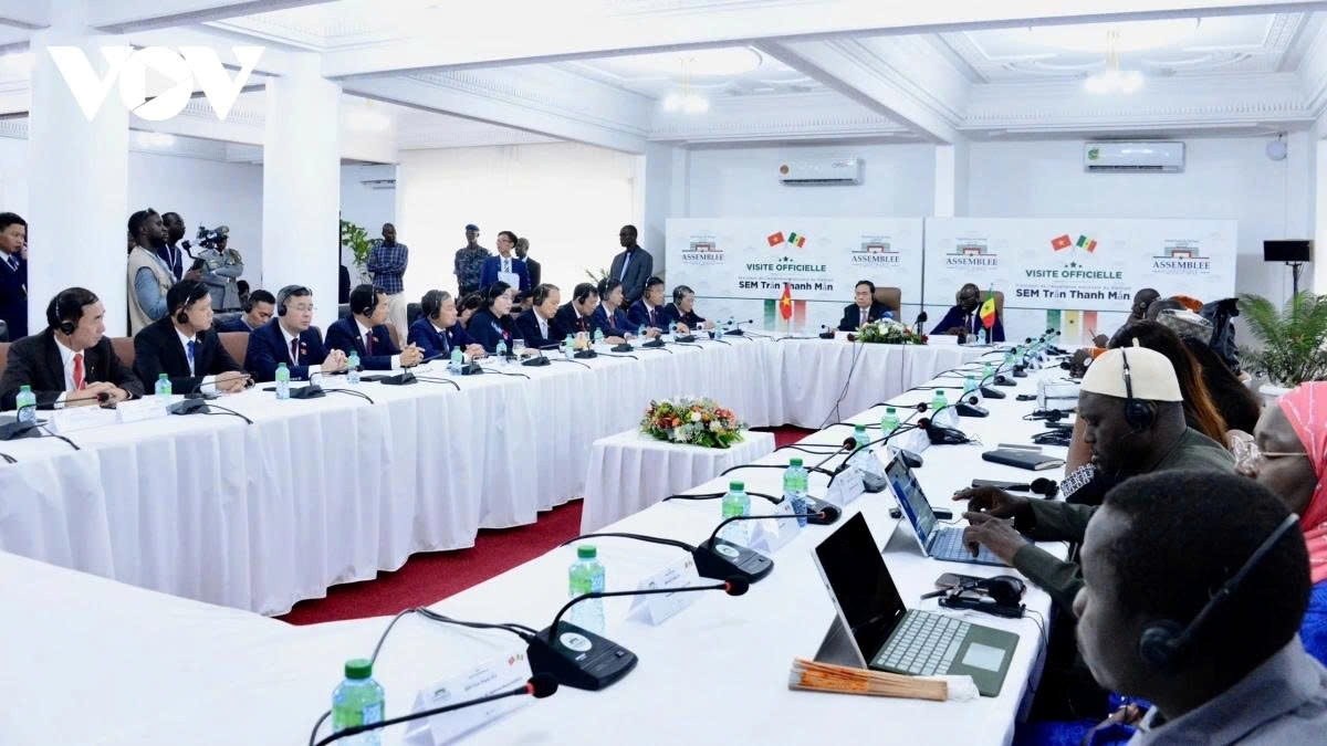 vietnam and senegal look to expand mutually beneficial cooperation picture 2 vietnam and senegal look to expand mutually beneficial cooperation picture 2
