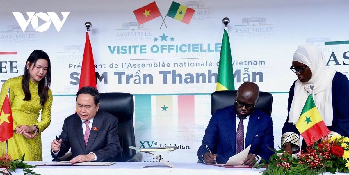 vietnam and senegal look to expand mutually beneficial cooperation picture 3 vietnam and senegal look to expand mutually beneficial cooperation picture 3