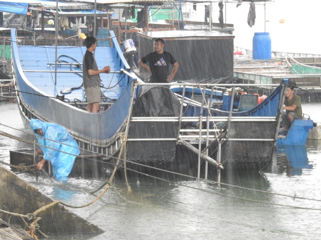 quang ninh chi dao tang cuong phong, chong tac dong cua bao so 3 hinh anh 1