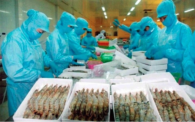 strong growth pushes vietnamese seafood to over 10 market share in singapore picture 1