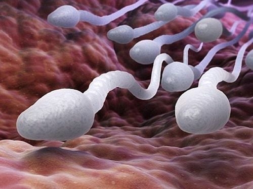 Giải pháp nào giúp nam giới tinh trùng yếu được làm cha?