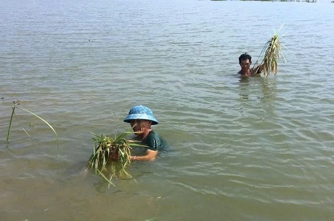 thanh hoa phat lenh bao dong lu tren song yen hinh anh 1